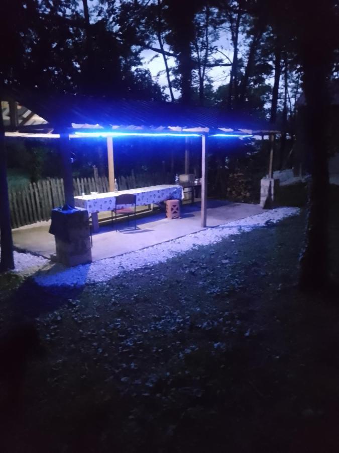 Tamuna Guest House Martvili Luaran gambar