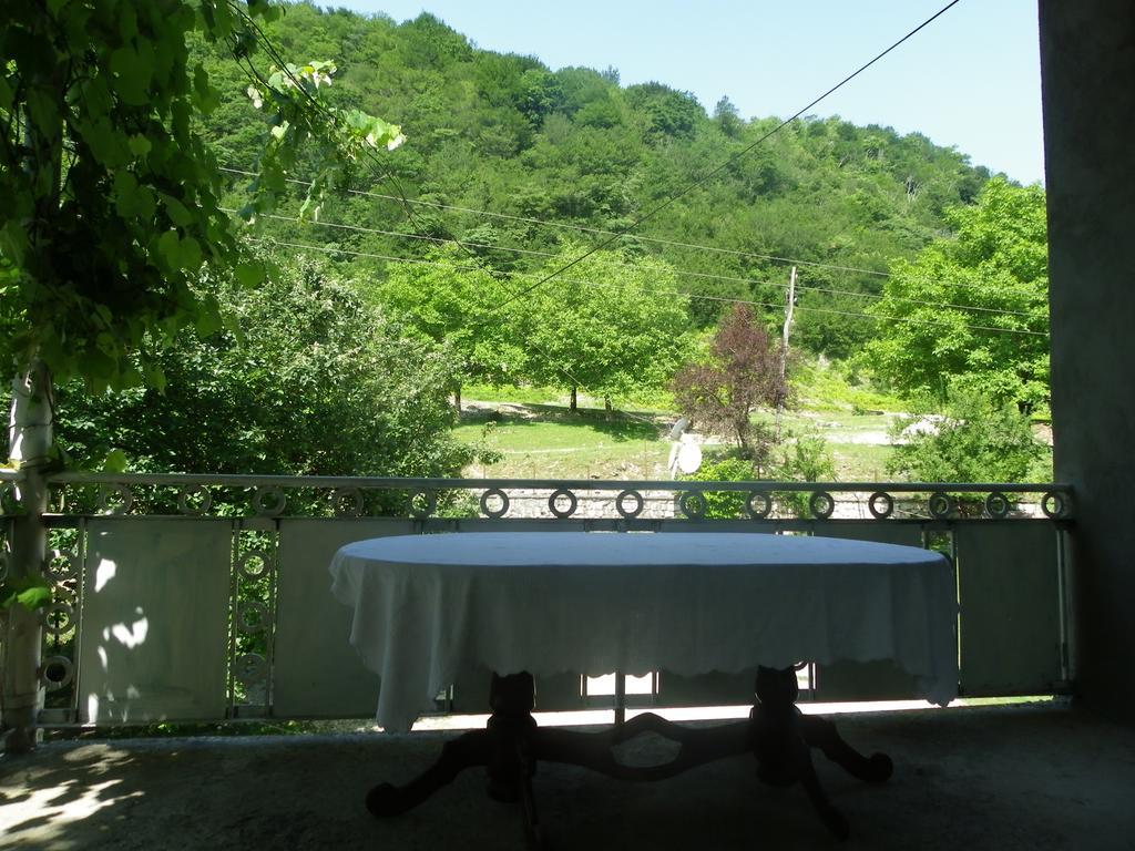 Tamuna Guest House Martvili Luaran gambar
